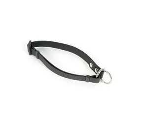 FENICA iQsil Halsband zum Überziehen, schwarz / Für Hunde / Nylon / 20 mm / 30-54 cm