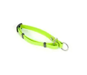 FENICA iQsil Halsband zum Überziehen, grün / Für Hunde / Nylon / 15 mm / 25-44 cm