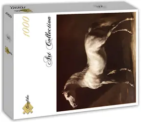GRAFIK Quadratisches Puzzle Cheval Arabe Gris-Blanc / 1000 Teile / 60 × 60 cm