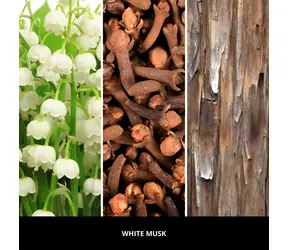 Millefiori Milano White Musk 250 ml (77DDMB) / Duftstäbchen