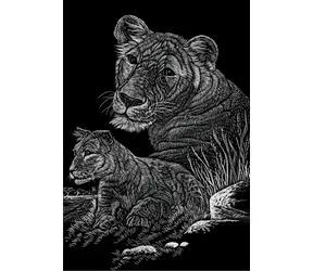 ROYAL & LANGNICKEL Rubbelbilder im Block Wildtiere / 12 Bilder + 12 Blätter / Rubbelstift / ab 8 Jahren