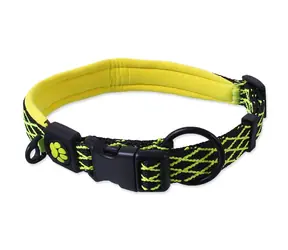 Active Dog Mystic M limette / Hundehalsband / Nylon / 44-55 cm / Breite 2 cm