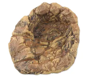 Repti Planet Terrarium Teich / Teich / Harzverbundwerkstoff / 14 × 16 × 5 cm