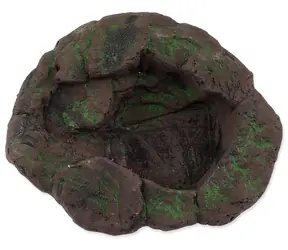 Repti Planet Terrarium-Teich