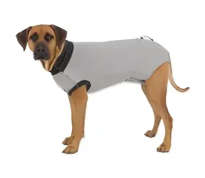 TRIXIE Postoperativer Schutzanzug für Hunde XS-S / Rückenlänge 30 cm / Klettverschluss, Kordelzug / Waschbar bei 60 °C