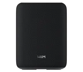 WiiM Sound Lite černá / Reproduktor / 100 W / Wi-Fi 6E / Bluetooth 5.3
