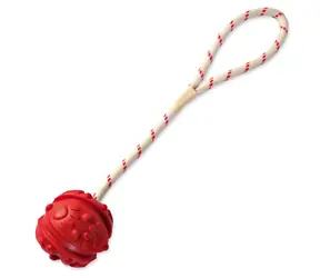 TRIXIE Schwebender Ball an Schnur / Gummi / Durchmesser 4,5 cm / Länge 35 cm