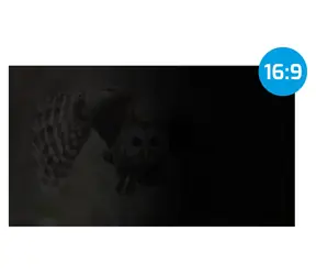 Natec Owl 14" / Blickschutzfilter / 16:9 / Entspiegelt