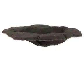 Repti Planet Terrarium-Teich 15x17,5x4 cm / Teich / Harzverbundwerkstoff / Nicht poröse Oberfläche / Für Reptilien