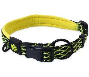 Active Dog Mystic L Limette / Hundehalsband / Breite 2,5 cm / Umfang 53-64 cm