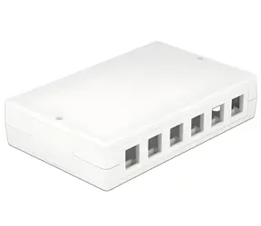 DeLock Keystone Box 12-Port / Installationsbox / ohne Montage