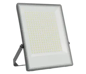 Spectrum Noctis MaxCCT grau / Außenstrahler / 200 W / IP65