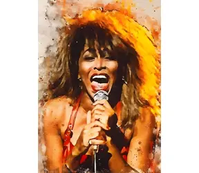 Norimpex Diamantmalerei Tina Turner singt / 30x40 cm
