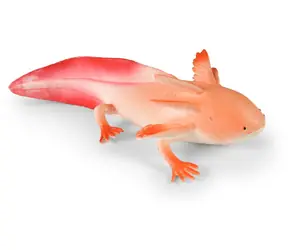 Rappa Axolotl Gummi 19 cm / Flexibles, nachgiebiges Material