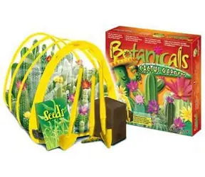 Prime Botanischer Garten für Zuhause - Kakteen / Anzuchtset / Kreatives und lehrreiches Spielzeug