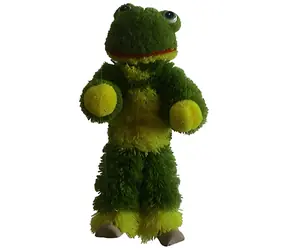 Prime Tanzender Puppenfrosch