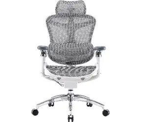 Sihoo Doro-C300-PRO weiß / Bürostuhl / Netzgewebe
