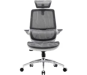 Sihoo M59AS-M301 grau / Bürostuhl / Netzgewebe / ergonomische Rückenlehne