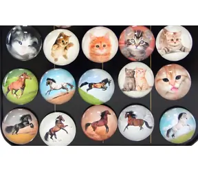 Orion Runde Tiermagnete / 4 cm / Hunde, Katzen, Pferde / ab 3 Jahren
