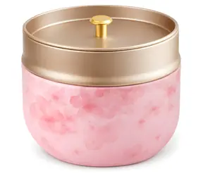 Goodwei Chazutsu rosa / Teedose / Metall / 250 ml