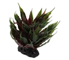 Repti Planet Sukkulente Agave grün 18cm