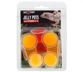 Repti Planet Feed Jelly Pots Fruit 8 Stück