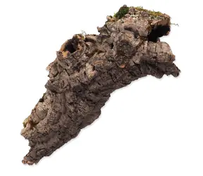Repti Planet Korkrinde M 15-30cm