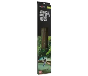 Repti Planet Liane Dekoration mit Moos Breite 1cm Länge 200cm