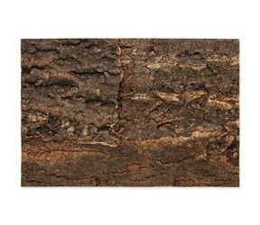 Repti Planet Hintergrund Kork natur 28,5x41x2cm