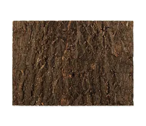 Repti Planet Hintergrund Kork natur 58,5x41x2cm