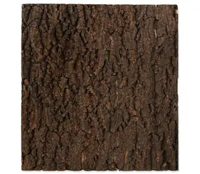 Repti Planet Hintergrund Kork natur 43,5x41x2cm