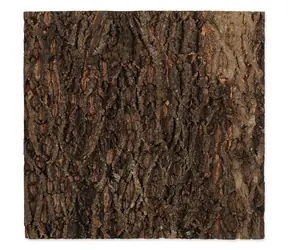 Repti Planet Hintergrund Kork natur 58,5x56x2cm