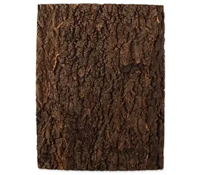 Repti Planet Hintergrund Kork natur 43,5x56x2cm