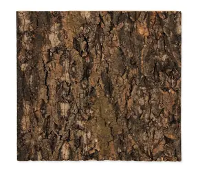 Repti Planet Hintergrund Kork natur 29x27,3x2cm