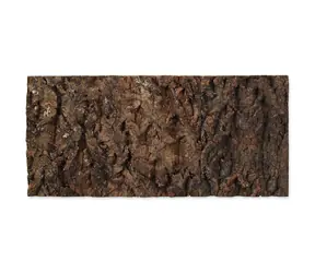 Repti Planet Hintergrund Kork natur 48,8x22,7x2cm
