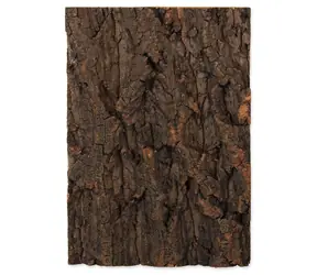 Repti Planet Hintergrund Kork natur 19x27,3x2cm