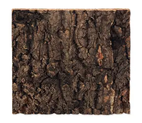 Repti Planet Hintergrund Kork natur 19x17,3x2cm