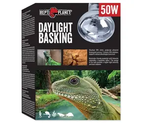 Repti Planet Tageslicht-Sonnenspot-Glühbirne 50 W