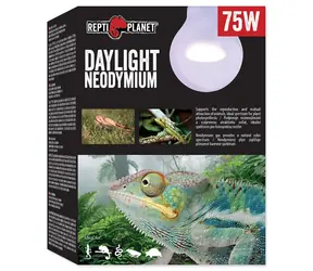 Repti Planet Glühbirne Tageslicht Neodym 75W
