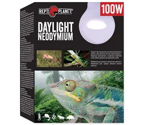 Repti Planet Glühbirne Tageslicht Neodym 100W