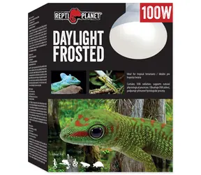 Repti Planet Glühbirne Tageslicht Frosted 100W