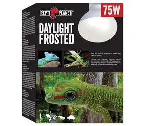 Repti Planet Glühbirne Tageslicht Frosted 75W