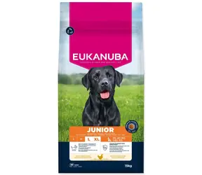 Eukanuba Junior Large reich an frischem Huhn 15kg / Granulat für junge Hunde / für große Rassen 