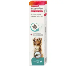 Beaphar Paste IntestoPro L für große Hunde 2x 20ml
