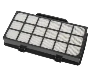 Rowenta ZR006001 Filterset für Staubsauger X-Trem Power Cyclonic / 2 Filter