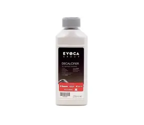 Saeco Evoca Entkalker 250ml
