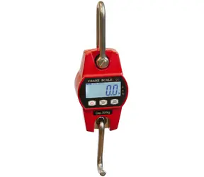 Format1 OCS-60 / Digitale Hängewaage 60 kg