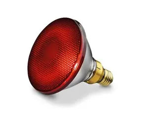 BEURER Philips Ersatzlampe für Infrarotlampe IL35 / 150W