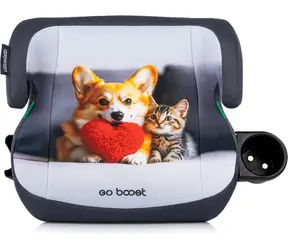 CHIPOLINO Go Boost i-Size 125-150 cm Corgi Kindersitz