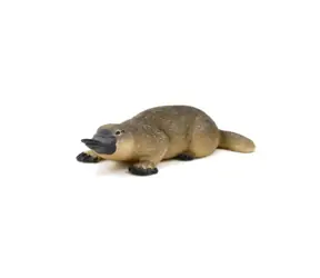 Mojo Animal Planet Strange Platypus / ab 3 Jahren